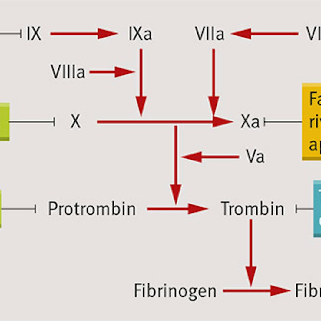 Porno sao onlayn Irkutskdagi seks partiyalari
